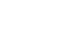 Logopartenaire2.png